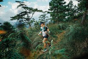 BIB: 
                            <button type="button" onclick="openModal(25258631)" class="btn btn-primary btn-sm float-right btn-popup" data-toggle="modal" data-target=".modal-high-quality">
                        <i class="fas fa-shopping-cart"></i> Add to Cart
                    </button>
                                            <button type="button" onclick="isThisMe(25258631, true)" class="btn btn-success btn-sm float-right btn-popup btn-isme hidden" data-toggle="tooltip" data-placement="bottom" title="นี่คือรูปของคุณใช่ไหม คลิกที่นี่เพื่อเอาเข้าอัลบั้ม">
                        <i class="fas fa-plus"></i> Add to album
                    </button>
                    <button type="button" onclick="isThisMe(25258631, false)" class="btn btn-warning btn-sm float-right btn-popup btn-isnotme hidden">
                        <i class="fas fa-ban"></i> Remove from album
                    </button>